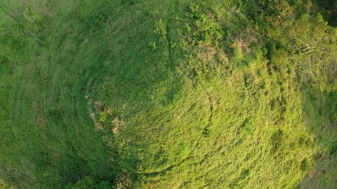 Overhead Drone Clip, Olmec Site of Tres Zapotes, Veracruz, Mexico, c.1300BC, 4K Stock Footage 296347692