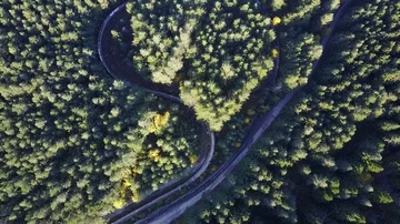 Overhead drone flight over neglected Olympic bobsleigh track in Sarajevo Video stock 85948803