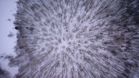 Overhead drone perspective capturing frozen landscape 動画素材 334366200