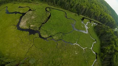 Overhead drone perspective looking down at a creek maze inside a green marsh Foto stock