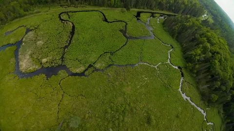 Overhead drone perspective looking down at a creek maze inside a green marsh Stock Photos