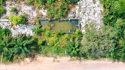 Overhead drone rainforest canopy northeast Phuket Thailand 스톡 동영상 331477994