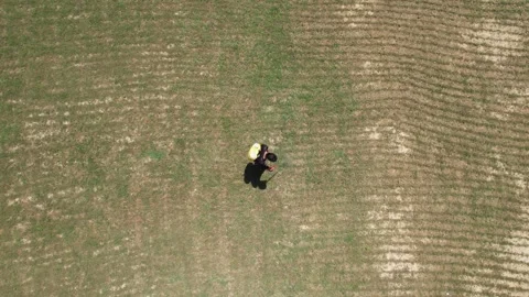 Overhead drone shot of farmer spraying pesticide on lawn 库存影片 334116789