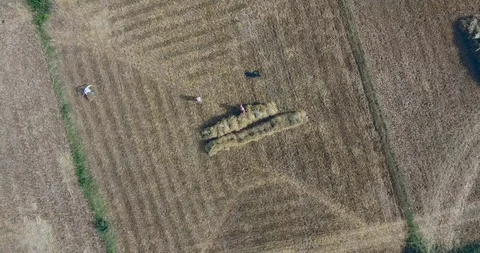 Overhead drone shot of farmers stacking hay bales in the dried field Stock Footage 102296521