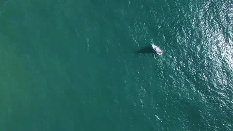 Overhead drone shot of lone white sailboat sailing across deep turquoise 스톡 동영상 330990080