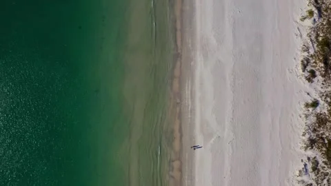 Overhead Drone shot looking down at waves breaking on perfect clean beach Stock Footage 280494772