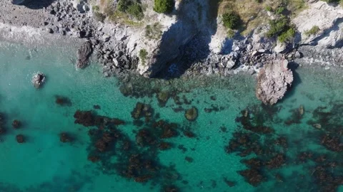 Overhead Drone Shot of pristine clear beach with waves and palm trees Vidéo 279752745