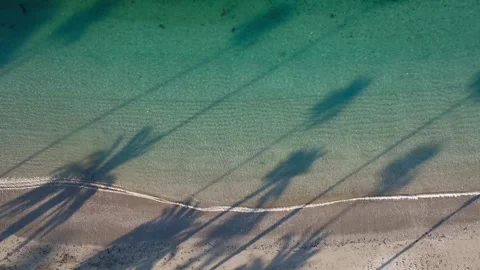 Overhead Drone Shot of pristine clear beach with waves and palm trees 스톡 동영상 279752746