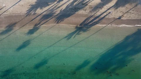 Overhead Drone Shot of pristine clear beach with waves and palm trees 動画素材 279752747