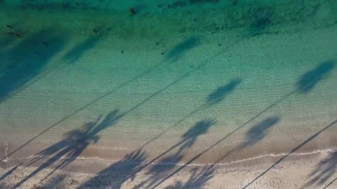 Overhead Drone Shot of pristine clear beach with waves and palm trees 動画素材 279752748