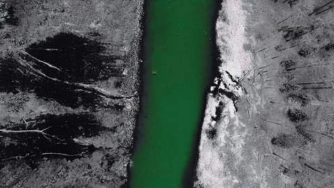 Overhead drone shot revolves over a river and white snowy shores with pine trees Vídeo Stock 119238052