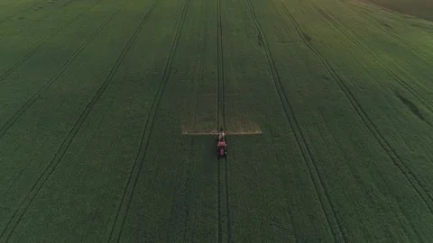 Overhead drone shot. Tractor spraying green field on the sunset. Stock Footage 133998977