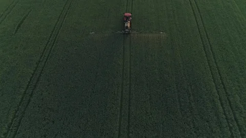 Overhead drone shot of tractor spraying green field in the evening Stock Footage 133999079