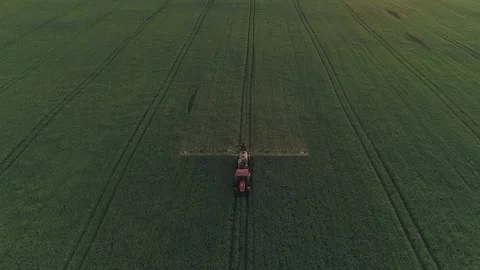 Overhead drone shot of tractor spraying green field on the sunset. Stock Footage 133999101
