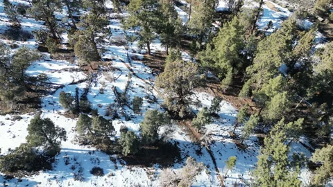 Overhead Drone Of Snowy Big Bear Stock-Footage 233564991