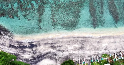Overhead Drone View of Amed Black Sand Beach and Coral Reef Bali Stock Footage 334373565