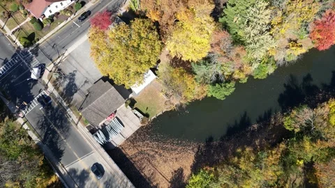Overhead Drone View of an Autumn Pond Beside a Small Road Bridge Stock Footage 345694887