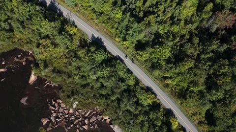 Overhead Drone View Bikers In Forest Park With Lake View On Sunny Day In Canada Video stock 317901539