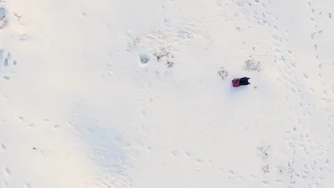 Overhead Drone View of Children Sledding on Snow Stock Footage 346153982