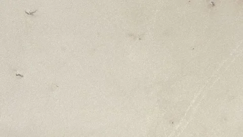 Overhead drone view of the cracked soil at the bottom of a swamp due to drought. Stock Footage 213618804