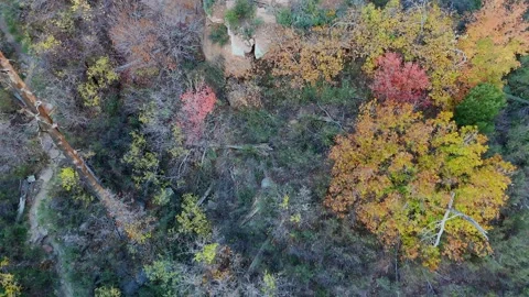 Overhead Drone View Of Fall Colors Along Hiking Trail In Sedona AZ Stock Footage 321494250