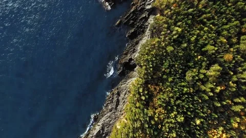 Overhead drone view of Head Harbour and Campobello Island, New Brunswick Video stock 159981663