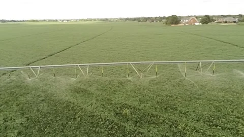 An overhead drone view of a lush, green soy bean field with active irrigation Stock-Footage 343032731