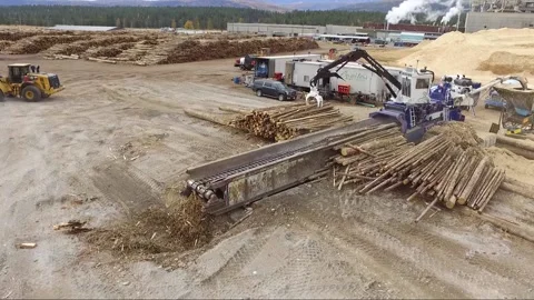 Overhead drone view of machine adding stripped logs into an industrial Stock Footage 165799515