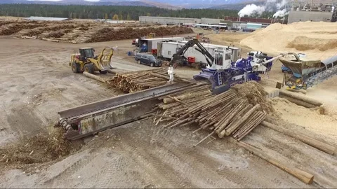 Overhead drone view of machine adding logs into an industrial wood chipper Stock Footage 165799630