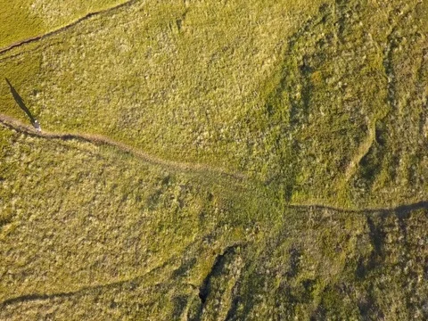 Overhead drone view of man and his shadow running across a green field Stock Footage 82209909