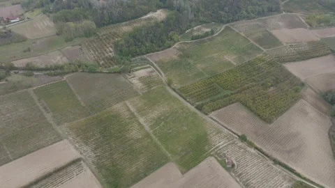 Overhead drone view of a patchwork of vineyards, orchards, and plowed fields Stock Footage 347679463