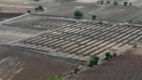 Overhead drone view tracking directly above a massive industrial solar array Stock Footage 337247340