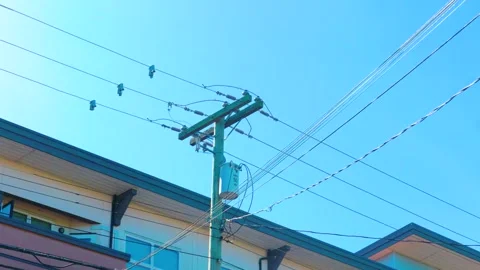 Overhead electrical power lines and transformer on utility pole Video stock 338175949