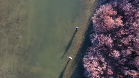 Overhead fly fishing 库存影片 133442379
