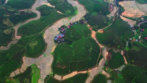Overhead Footage of Tea Fields and Flooded Rice Paddies in Northern Vietnam 스톡 동영상 331664249