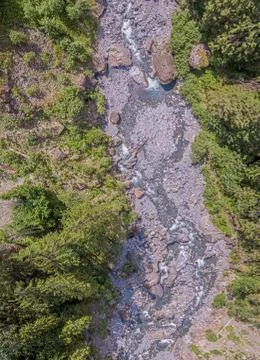 Overhead forest alpine river Stock Photos