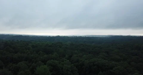 Overhead Forest Pan At Dusk 스톡 동영상 114769104