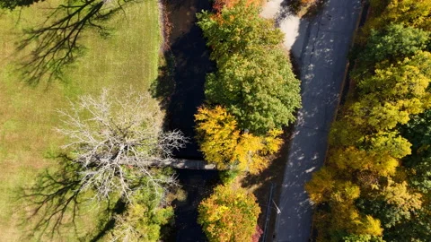 Overhead of gentle river winding through park Stock Footage 289346283