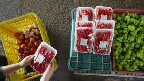 Overhead Hands Picking a Tray of Fresh Red Chili Peppers Stock Footage 340561987