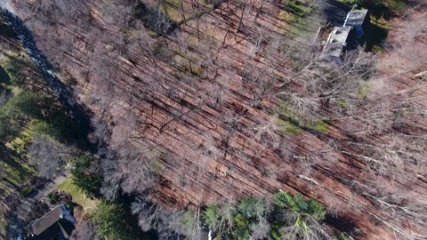 Overhead of homes amongst trees in winter. 4k Aerial Stock Footage 145336210