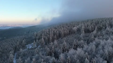 Overhead journey through snow-covered mountain trees at sunset, the peak's .. Stock-Footage 262731676