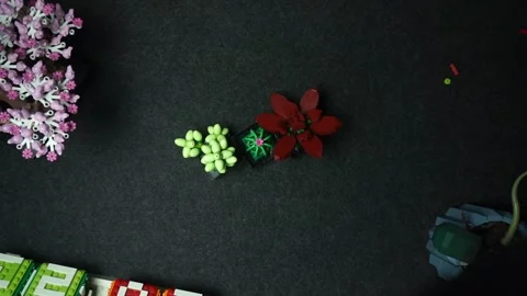 Overhead of Lego Succulents Stock Footage 247274273