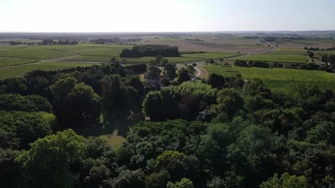 Overhead loop of Chateaux Des Salles, St Fort Sur Gironde, France, Stock Footage 286213948