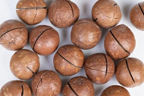 Overhead macadamia nuts emphasize protein and nutrition, whole shells grouped Stock Photos