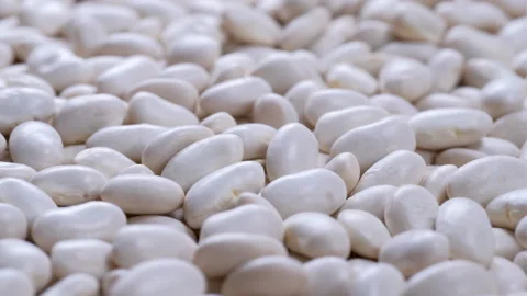 Overhead macro shot of dried uncooked white bean seeds Stock Footage 285902228