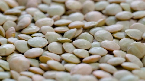 Overhead macro shot of dried uncooked green lentils Stock Footage 285902742