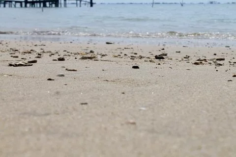Overhead Macro Shot Pebbles and Shells on Beach Sand Tropical Indonesia Stock Photos