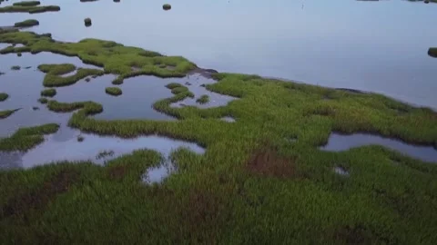 Overhead Marsh Shot 動画素材 137447156