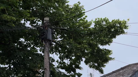 Overhead network of city cables distributing to English suburban houses Vídeo Stock 316773082