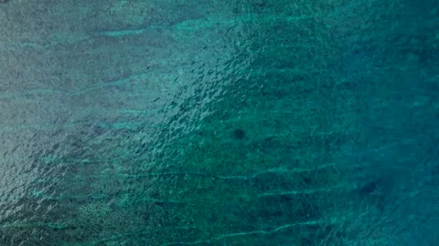 Overhead ocean waves breaking over shallow coral reef. Great aerial view drone Stock Footage 344603740